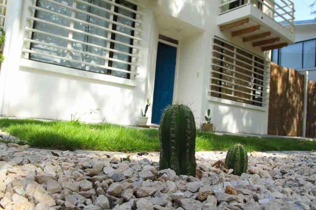 Casa Buda Liberia Cerca Del Aeropuerto Exteriör bild